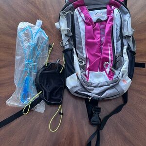 Local Lion Pink and Gray Backpack